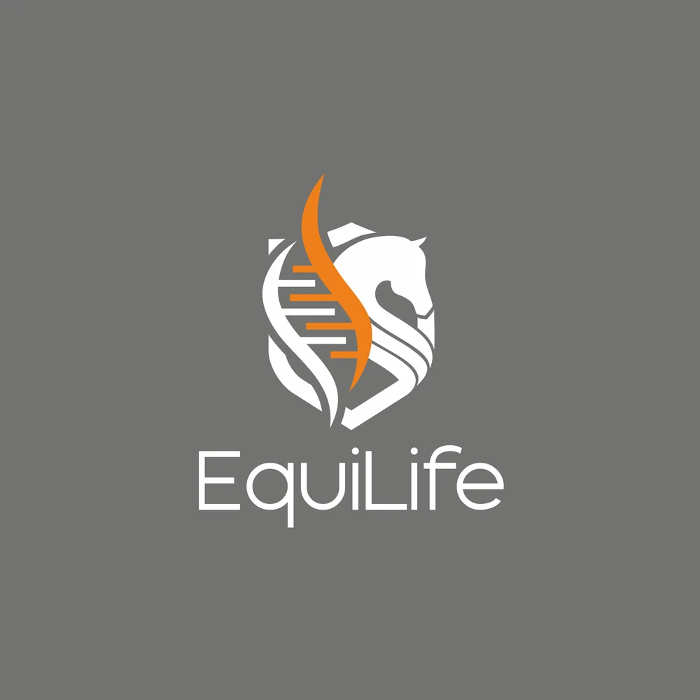 EquiLife